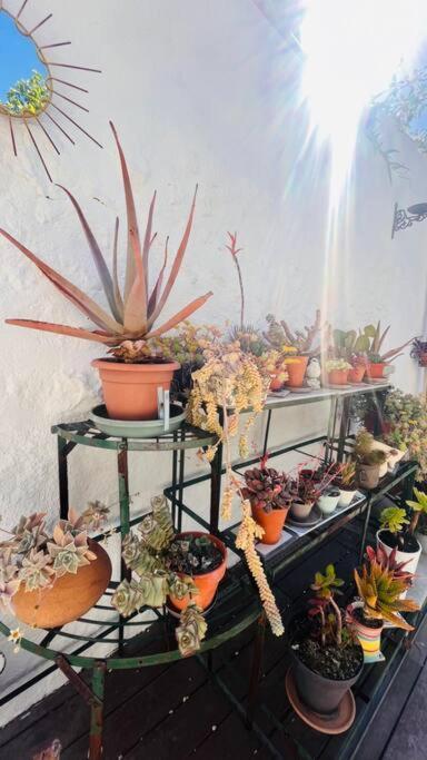 Le Jardin Du Roucas Apartment Марсилия Екстериор снимка